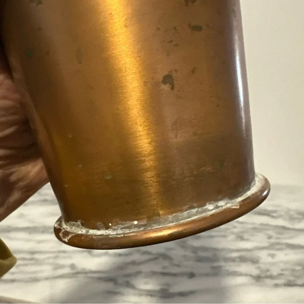 Rare Pottery Barn Copper flower vase